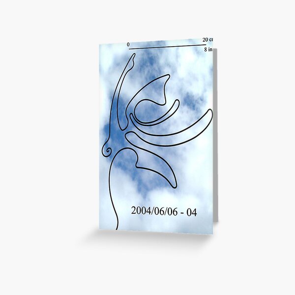 Soaring Bird Three Greeting Card