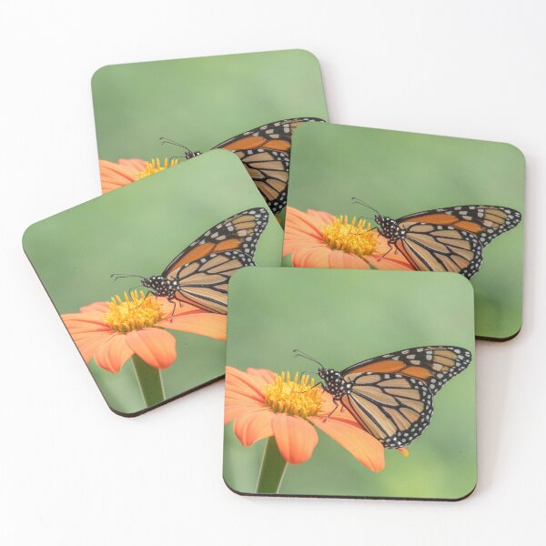 Item preview, Monarch on Mexican Sunflower 7-11-25 designed and sold by Thomasyoung.