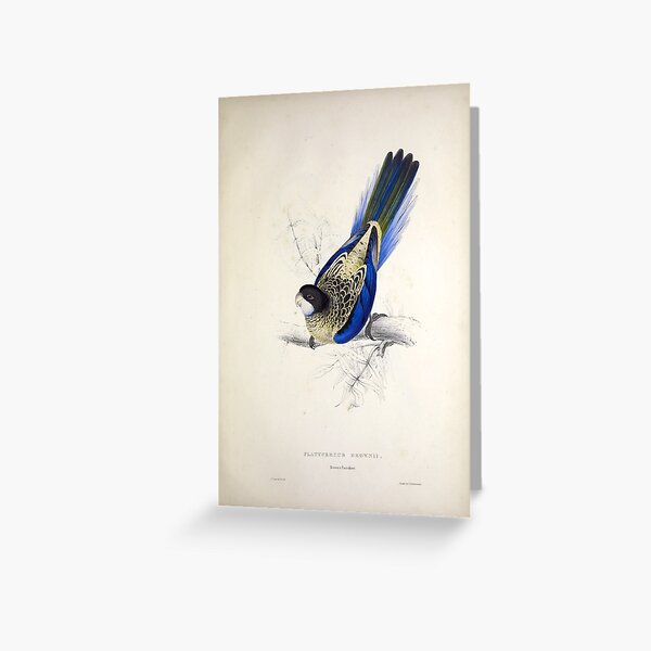 Item preview, Edward Lear's Parrots: Platycercus Brownii designed and sold by mariapopova.
