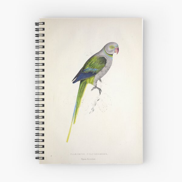 Item preview, Edward Lear's Parrots: Palaeornis Columboides designed and sold by mariapopova.