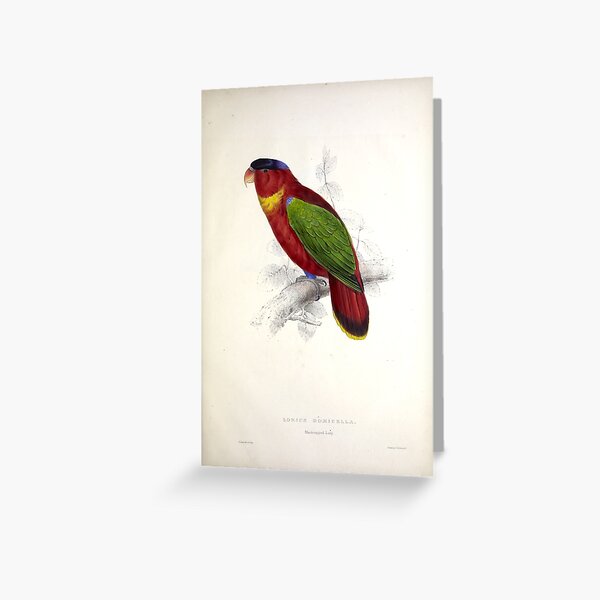 Item preview, Edward Lear's Parrots: Lorius Domicella designed and sold by mariapopova.