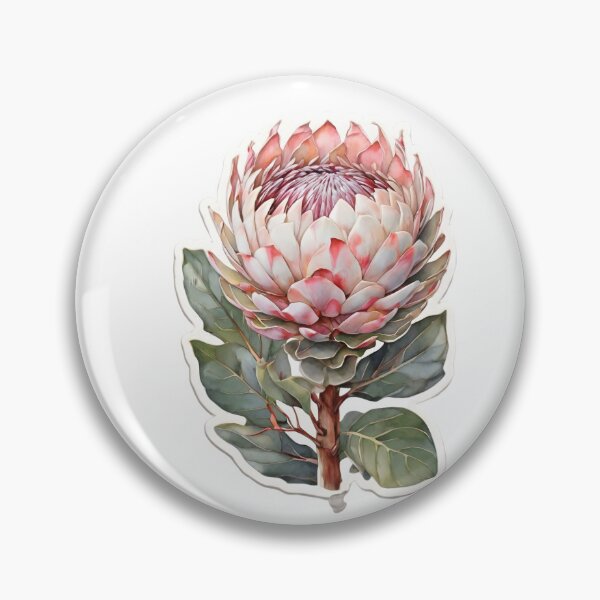 Item preview, King Protea (Protea cynaroides) designed and sold by HOMETOWN86.