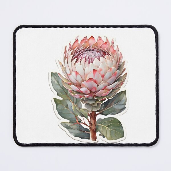 Item preview, King Protea (Protea cynaroides) designed and sold by HOMETOWN86.