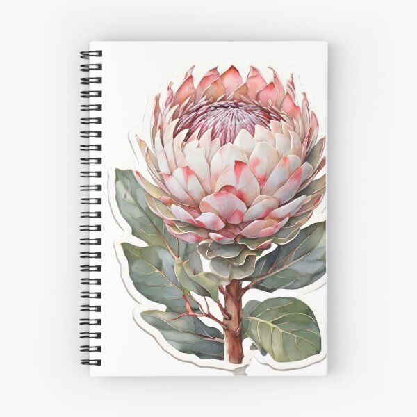 Item preview, King Protea (Protea cynaroides) designed and sold by HOMETOWN86.