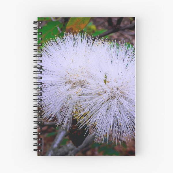Item preview, White Ohia  designed and sold by Robert Meyers-Lussier.