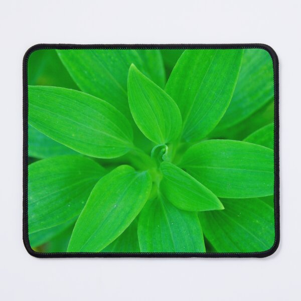 Item preview, plant designed and sold by zoephoto.