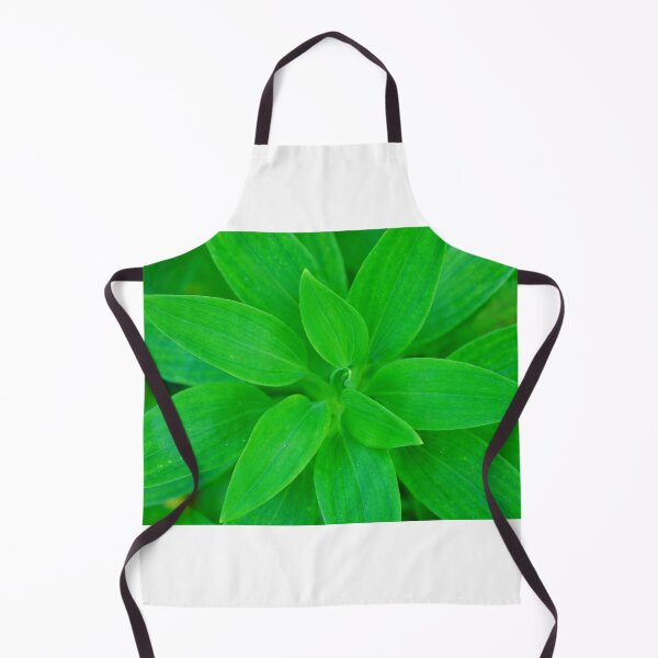 Item preview, plant designed and sold by zoephoto.