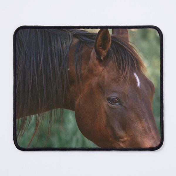 Item preview, horse among trees designed and sold by zoephoto.