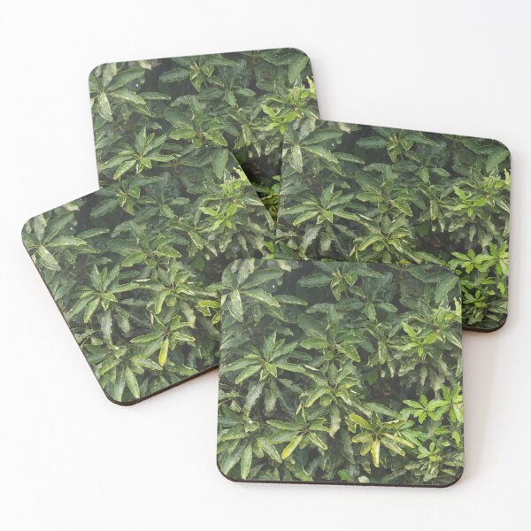 Item preview, wall of leaves designed and sold by zoephoto.