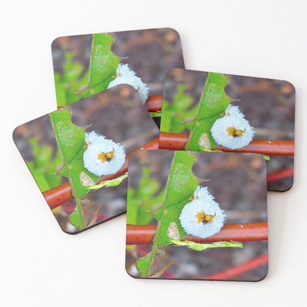 Item preview, White Caterpillar Feasting on a Leaf  designed and sold by Unlimited Imagination .
