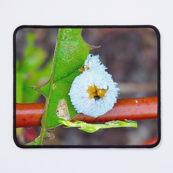Item preview, White Caterpillar Feasting on a Leaf  designed and sold by Unlimited Imagination .