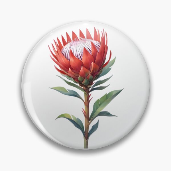 Item preview, Red King Protea (Protea cynaroides) designed and sold by HOMETOWN86.