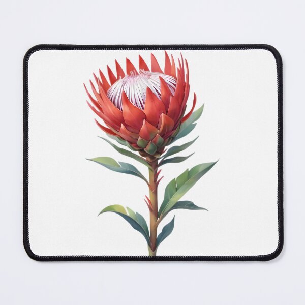 Item preview, Red King Protea (Protea cynaroides) designed and sold by HOMETOWN86.