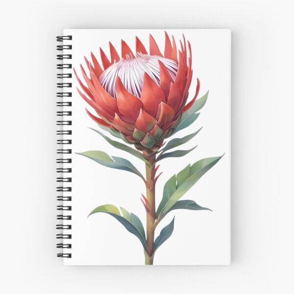 Item preview, Red King Protea (Protea cynaroides) designed and sold by HOMETOWN86.
