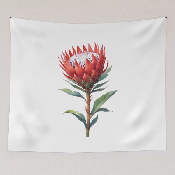 Item preview, Red King Protea (Protea cynaroides) designed and sold by HOMETOWN86.