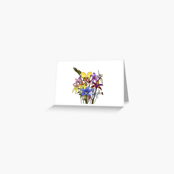 Item preview, The Native Orchids of Western Australia designed and sold by JoWillmot.