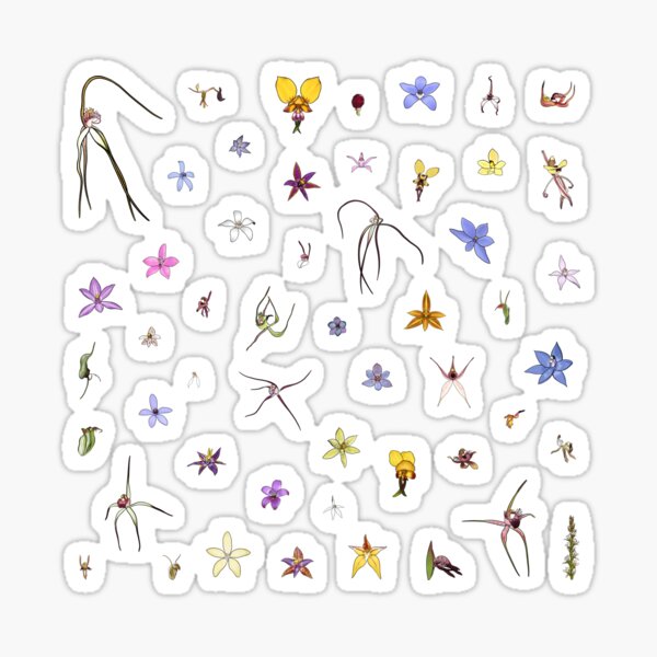 Item preview, Australian Orchids designed and sold by JoWillmot.