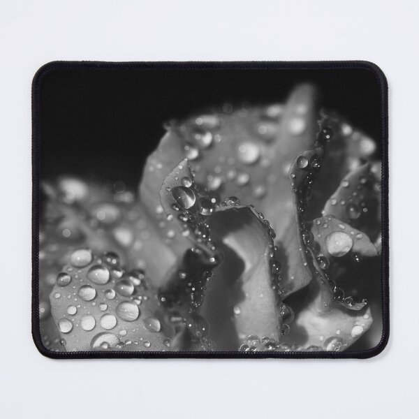 Item preview, Water on a rose designed and sold by Glen McDonald.