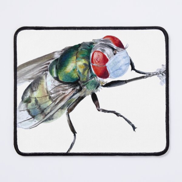 Item preview, COVID Fly designed and sold by saraecheverrid.