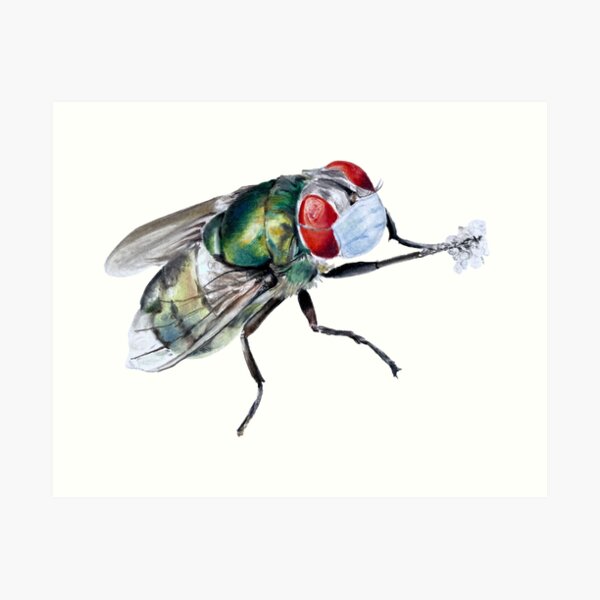 Item preview, COVID Fly designed and sold by saraecheverrid.