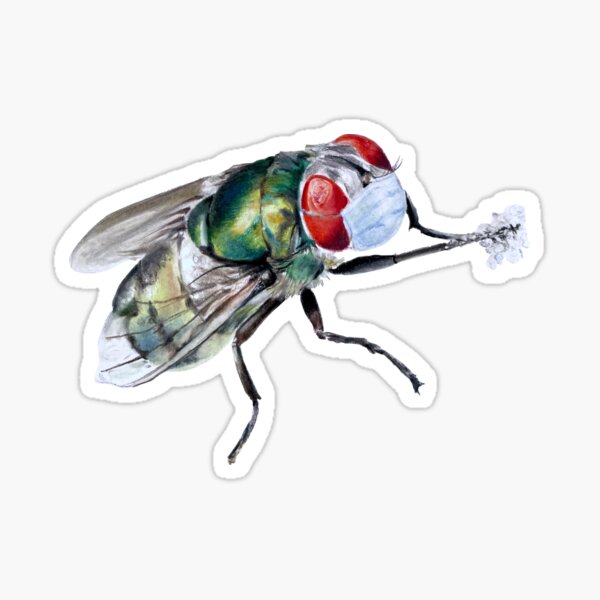 Item preview, COVID Fly designed and sold by saraecheverrid.