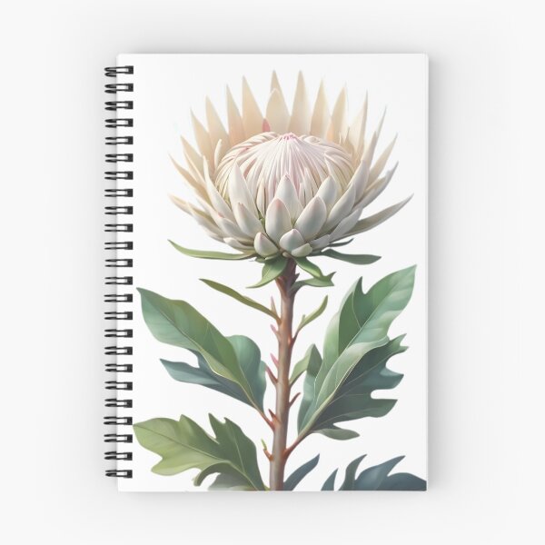 Item preview, White King Protea (Protea cynaroides) designed and sold by HOMETOWN86.