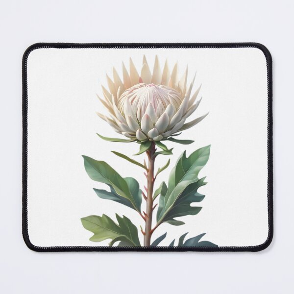 Item preview, White King Protea (Protea cynaroides) designed and sold by HOMETOWN86.