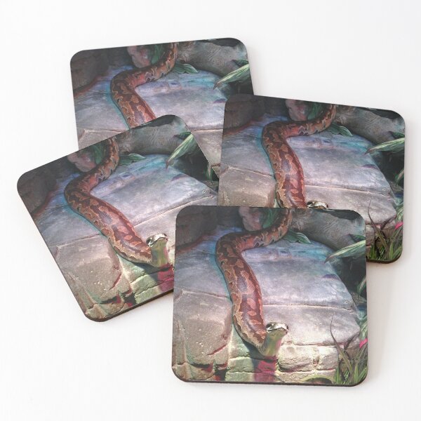 Item preview, Inquisitive snake, Canberra Zoo designed and sold by DarSco75.