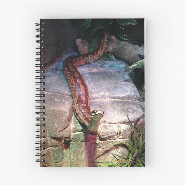 Item preview, Inquisitive snake, Canberra Zoo designed and sold by DarSco75.