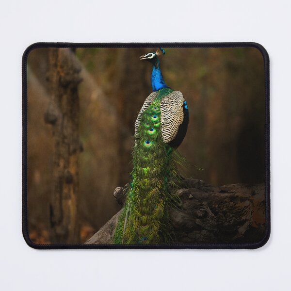 Item preview, Beauty in the wild - The peafowl designed and sold by Prakruti prints.
