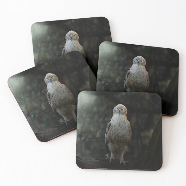 Item preview, Focus locked in the wild.  designed and sold by Prakruti prints.