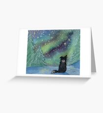 All is calm, Border Collie dog, star light scene Greeting Card