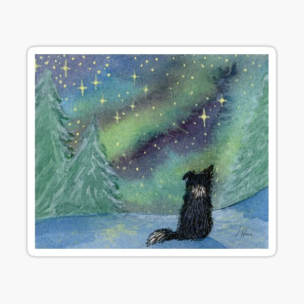 All is calm, Border Collie dog, star light scene Sticker