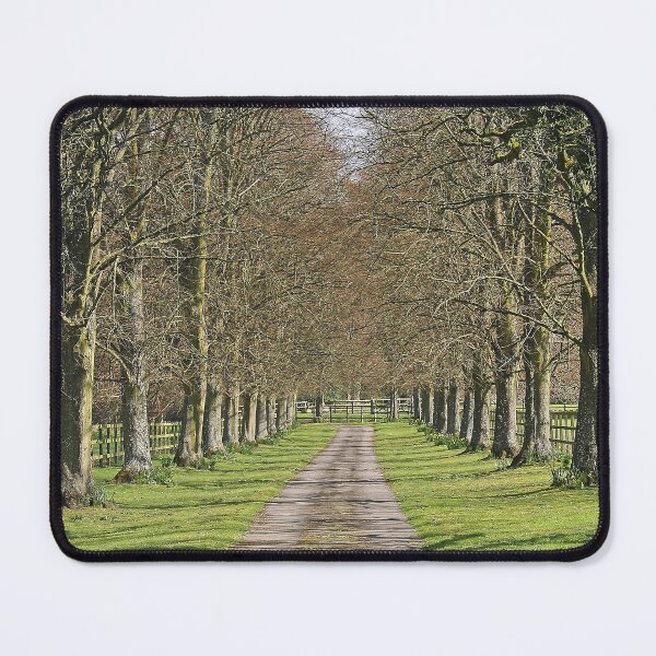 Item preview, Spring Sunshine designed and sold by Murph's Images.