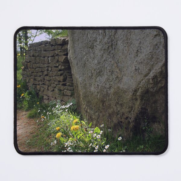 Item preview, Daisies and Dandelions designed and sold by Murph's Images.