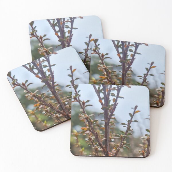 Item preview, Droplets designed and sold by TheKitchenator.