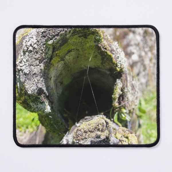 Item preview, Cobwebs designed and sold by TheKitchenator.