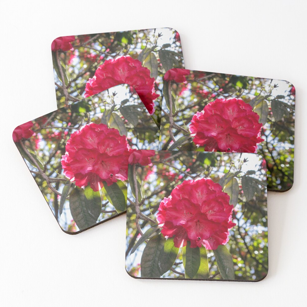 Item preview, Coasters (Set of 4) designed and sold by TheKitchenator.