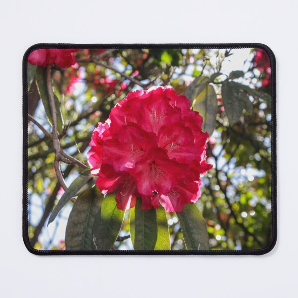 Item preview, Backlit Red designed and sold by TheKitchenator.