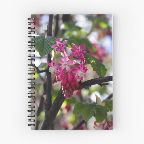 Item preview, Hanging Magenta designed and sold by TheKitchenator.