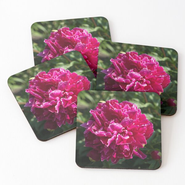 Item preview, Bold Magenta Peony Bloom with White Fringed Petals designed and sold by Georgia Mizuleva.