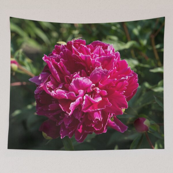 Item preview, Bold Magenta Peony Bloom with White Fringed Petals designed and sold by Georgia Mizuleva.