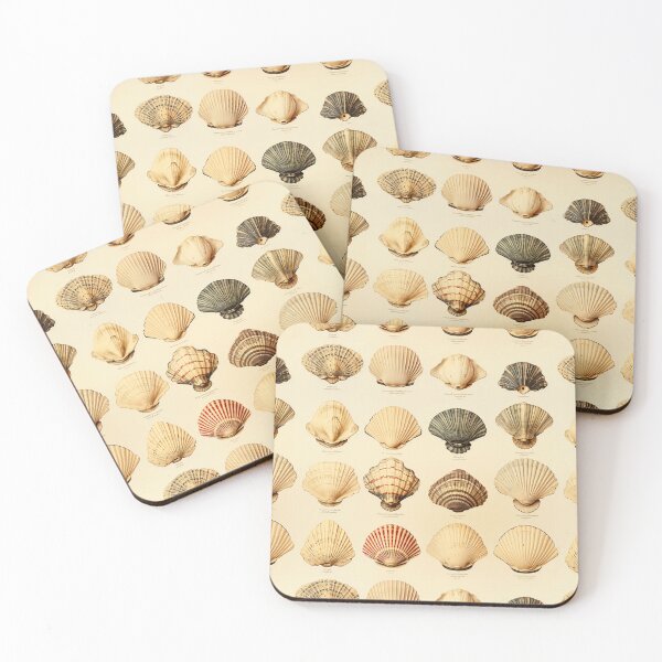 Item preview, Vintage Sea Shell Illustration Print designed and sold by FoxTreeDesign.