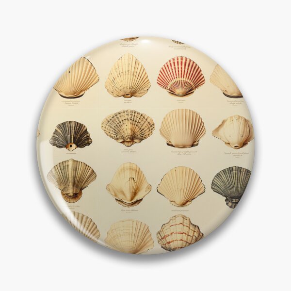 Aperçu de l'œuvre Illustration vintage de coquillages créée et vendue par FoxTreeDesign.
