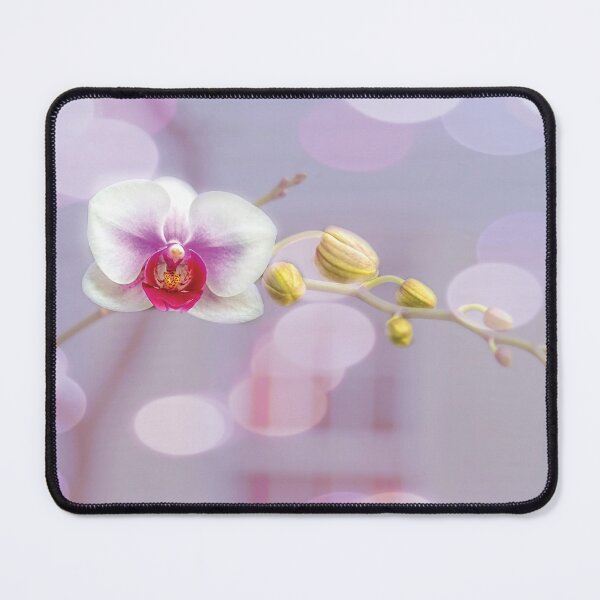Item preview, Bubbly Orchid designed and sold by Kay Brewer.