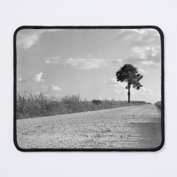 Item preview, Lonely tree on the road analogue film photography designed and sold by fotopan.