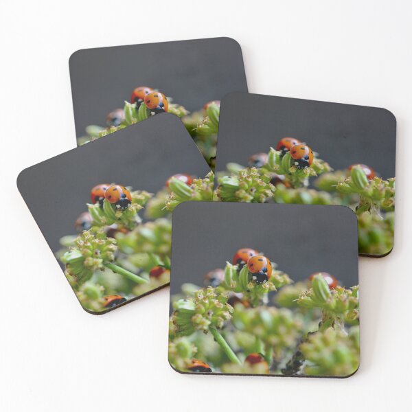 Item preview, Colony of Aphids with Ants and Ladybirds on Lovage designed and sold by Kate Anderson Art.