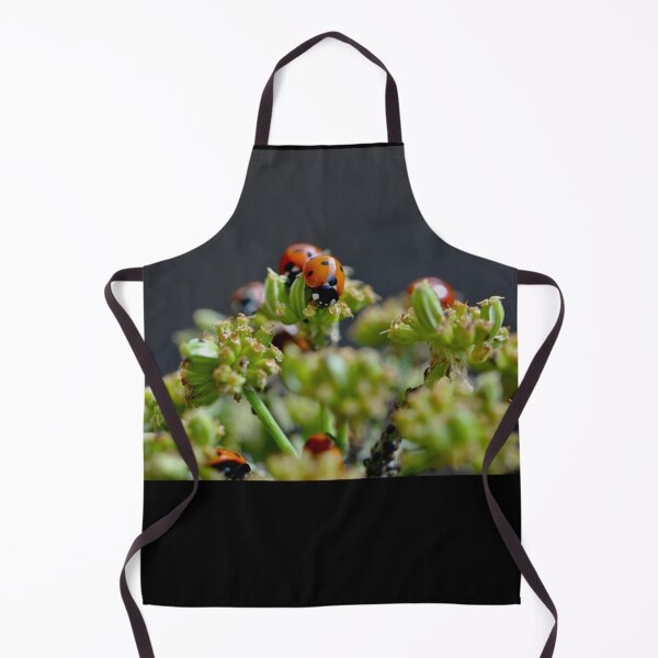 Item preview, Colony of Aphids with Ants and Ladybirds on Lovage designed and sold by Kate Anderson Art.