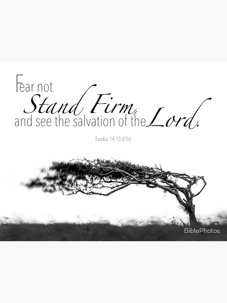 fear not stand firm