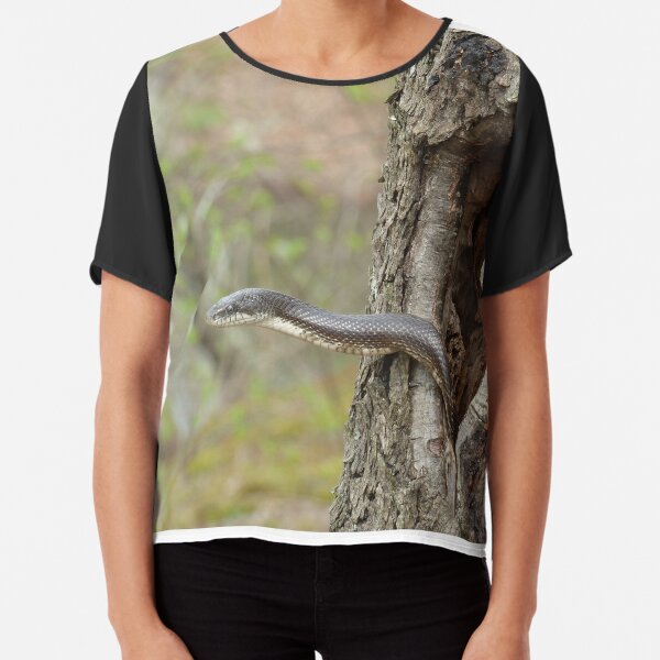 Diamondback Water Snake Water Active T-Shirt | Redbubble